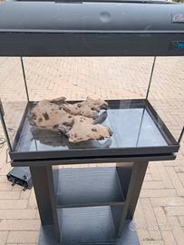 acquario per pesci