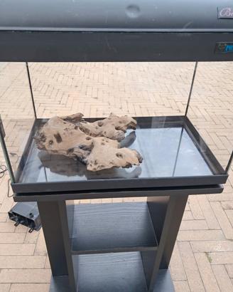 acquario per pesci