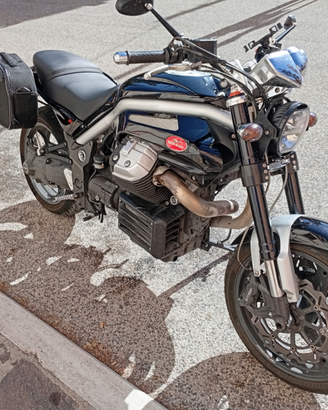 Griso 8v
