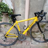 bicicletta da corsa donna