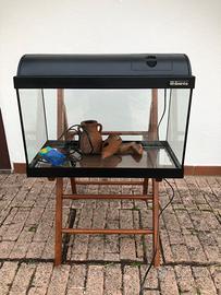 Acquario 50 litri