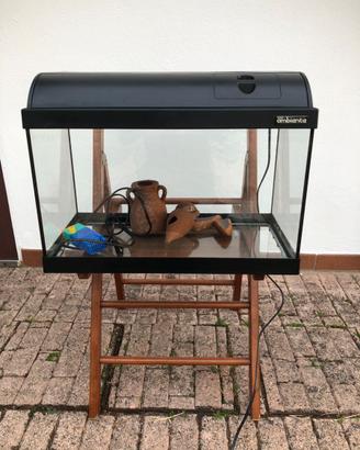 Acquario 50 litri