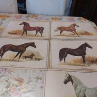 numero 5 stampe di cavalli 