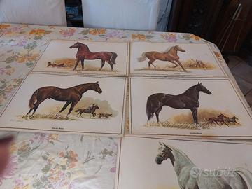 numero 5 stampe di cavalli 
