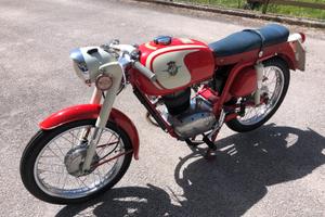 MV AGUSTA 99 GTE SPORT Targa oro FMI