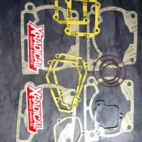 Guarnizioni XRADICAL Beta 300 rr 2013-2024