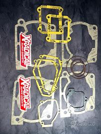 Guarnizioni XRADICAL Beta 300 rr 2013-2024