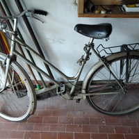 Bicicletta da donna vintage 26" TORPADO