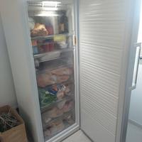 congelatore verticale 