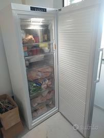 congelatore verticale 