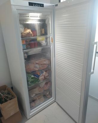 congelatore verticale 
