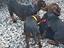 Immagine 2