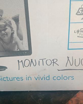 monitor 