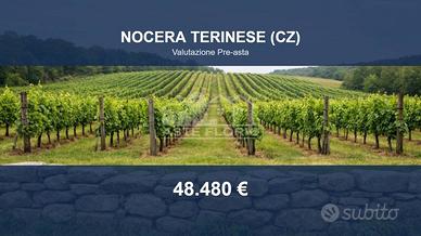 Immobile in asta di 6430 m² a Nocera Terinese