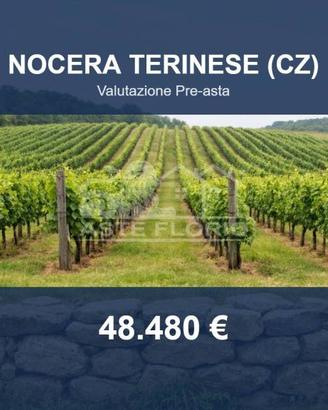 Immobile in asta di 6430 m² a Nocera Terinese