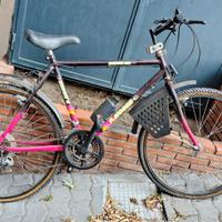 Bicicletta F Moser Vintage per adulti