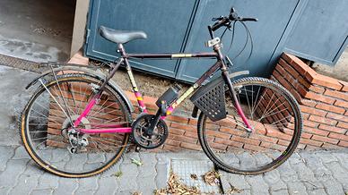 Bicicletta F Moser Vintage per adulti