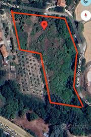 Terreno edificabile Artigianale