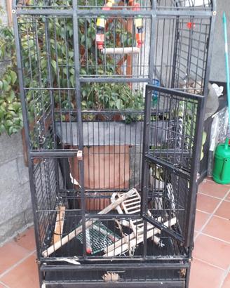 Voliera 