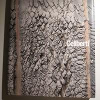 libro GIORGIO CELIBERTI