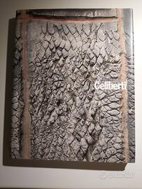 libro GIORGIO CELIBERTI