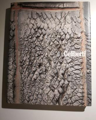 libro GIORGIO CELIBERTI