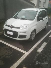 Panda Ppandina