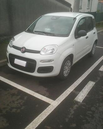 Panda Ppandina