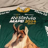 Maglia ciclismo Re Stelvio 2024