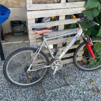 Bicicletta MTB 21 marce ruote da 26