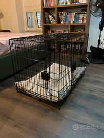 Kennel per cani