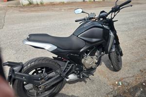 Mondial flex 300