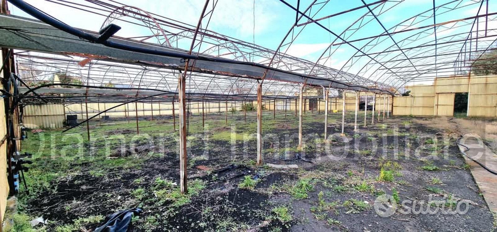 Villetta singola con terreno e serre a San Gerardo - Vista 5