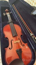 Violino