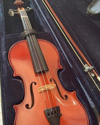 Violino