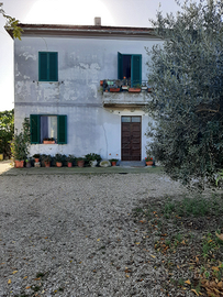 Vendita cascina in aperta campagna