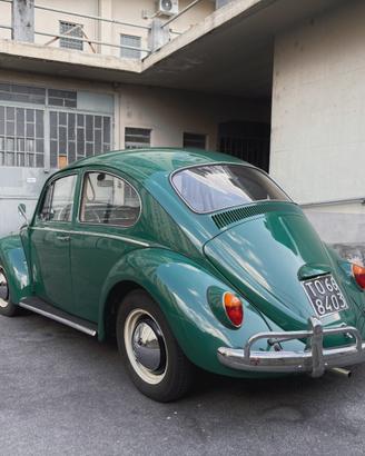 VW Maggiolino 6V  - Targa Nere - ASI+CRS