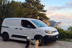 Citroën Berlingo - allestimento trasporto cani