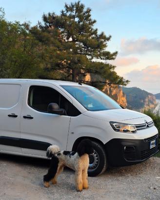 Citroën Berlingo - allestimento trasporto cani
