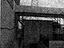 Immagine 14