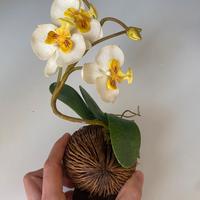 Decorazione