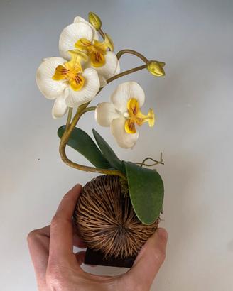 Decorazione