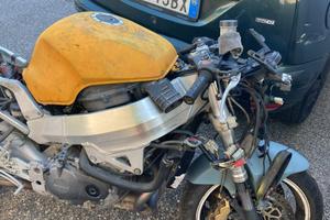 Cbr 929 rr