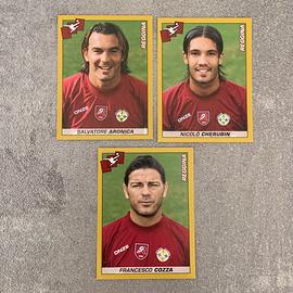 Figurine Calciatori Panini Reggina 2007/2008