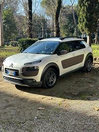 c4 cactus shine