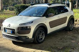 c4 cactus shine