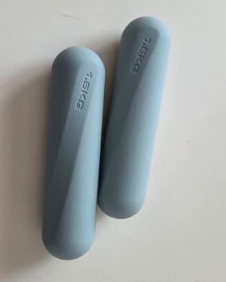 pesi palestra