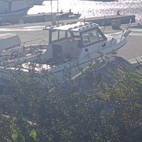 Pilolina con motore entro fuori bordo