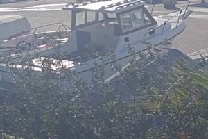 Pilolina con motore entro fuori bordo