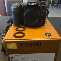 Nikon D7500
